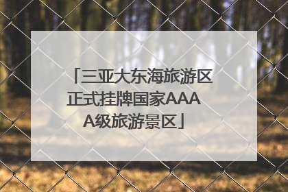 三亚大东海旅游区正式挂牌国家AAAA级旅游景区