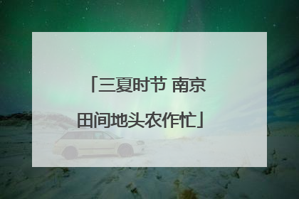 三夏时节 南京田间地头农作忙