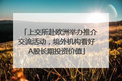 上交所赴欧洲举办推介交流活动，境外机构看好A股长期投资价值