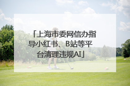上海市委网信办指导小红书、B站等平台清理违规AI