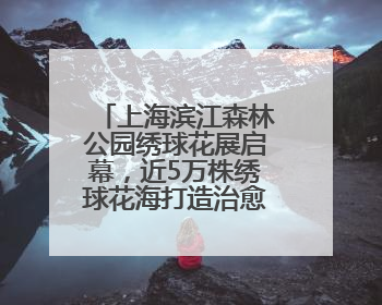 上海滨江森林公园绣球花展启幕，近5万株绣球花海打造治愈系画面