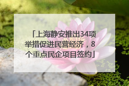 上海静安推出34项举措促进民营经济，8个重点民企项目签约