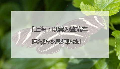 上海：以案为鉴筑牢拒腐防变思想防线