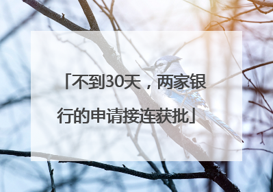 不到30天，两家银行的申请接连获批