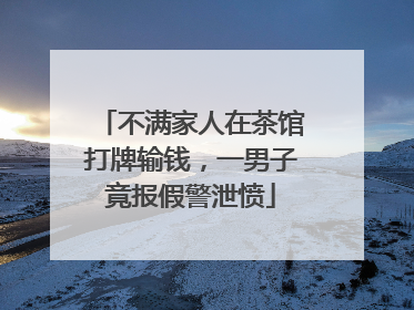 不满家人在茶馆打牌输钱，一男子竟报假警泄愤
