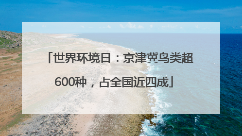 世界环境日：京津冀鸟类超600种，占全国近四成