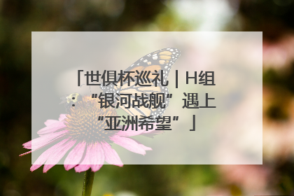 世俱杯巡礼｜H组：“银河战舰”遇上“亚洲希望”