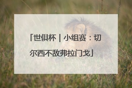 世俱杯｜小组赛：切尔西不敌弗拉门戈