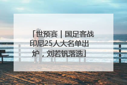 世预赛｜国足客战印尼25人大名单出炉，刘若钒落选