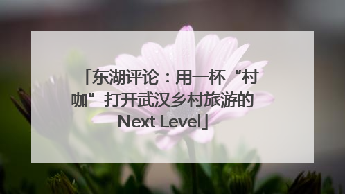 东湖评论：用一杯“村咖”打开武汉乡村旅游的Next Level