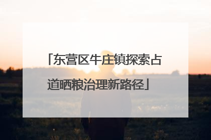 东营区牛庄镇探索占道晒粮治理新路径