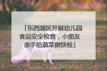东西湖区开展幼儿园食品安全检查，小朋友亲手给蔬菜做快检