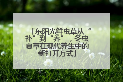 东阳光鲜虫草从“补”到“养”，冬虫夏草在现代养生中的新打开方式