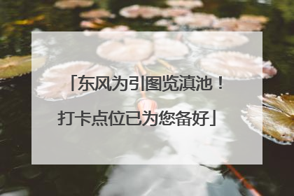 东风为引图览滇池！打卡点位已为您备好