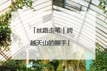 丝路走笔｜跨越天山的握手