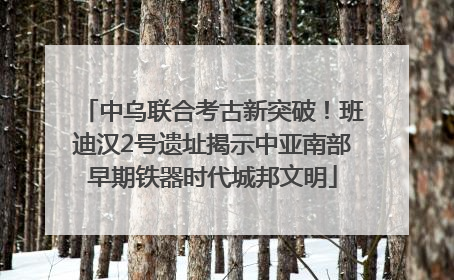 中乌联合考古新突破！班迪汉2号遗址揭示中亚南部早期铁器时代城邦文明