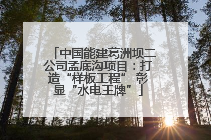 中国能建葛洲坝二公司孟底沟项目：打造“样板工程” 彰显“水电王牌”