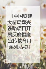 中国铁建大桥局盘兴铁路项目开展反腐倡廉宣传教育月系列活动