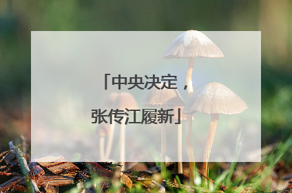 中央决定，张传江履新