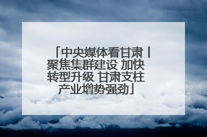 中央媒体看甘肃丨聚焦集群建设 加快转型升级 甘肃支柱产业增势强劲