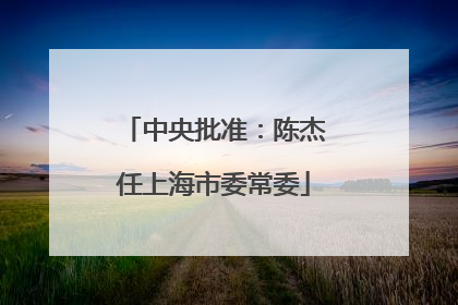 中央批准：陈杰任上海市委常委