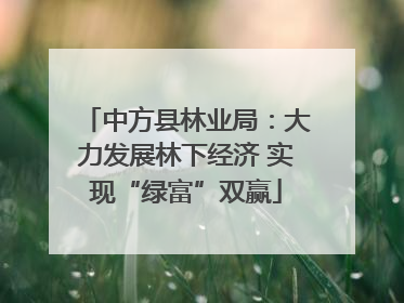 中方县林业局：大力发展林下经济 实现“绿富”双赢