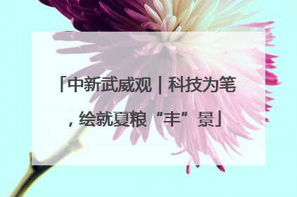 中新武威观｜科技为笔，绘就夏粮“丰”景