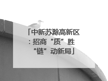 中新苏滁高新区：招商“质”胜 “链”动新局