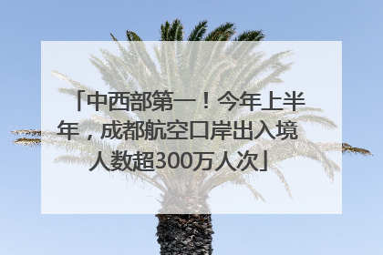 中西部第一！今年上半年，成都航空口岸出入境人数超300万人次