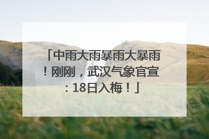 中雨大雨暴雨大暴雨！刚刚，武汉气象官宣：18日入梅！