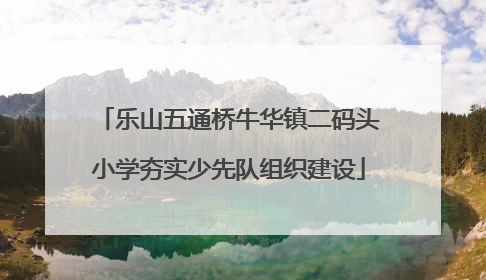 乐山五通桥牛华镇二码头小学夯实少先队组织建设
