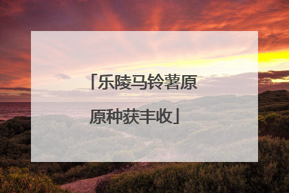 乐陵马铃薯原原种获丰收