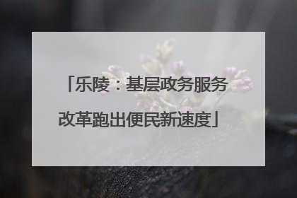 乐陵：基层政务服务改革跑出便民新速度