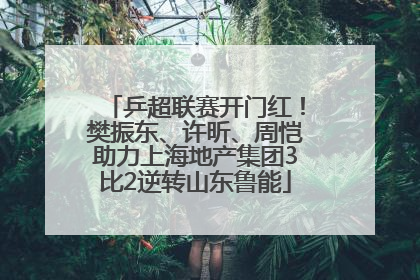 乒超联赛开门红！樊振东、许昕、周恺助力上海地产集团3比2逆转山东鲁能