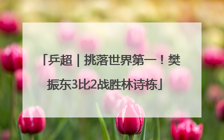 乒超｜挑落世界第一！樊振东3比2战胜林诗栋