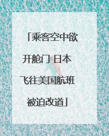 乘客空中欲开舱门 日本飞往美国航班被迫改道