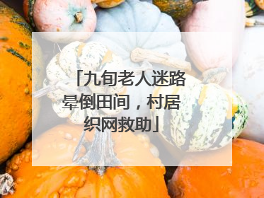 九旬老人迷路晕倒田间，村居织网救助