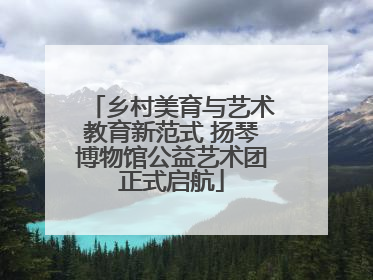 乡村美育与艺术教育新范式 扬琴博物馆公益艺术团正式启航