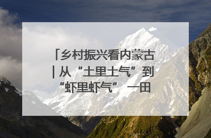 乡村振兴看内蒙古｜从“土里土气”到“虾里虾气” 一田双收模式火出圈