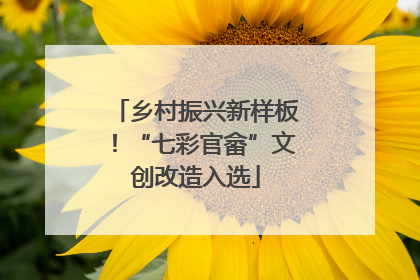 乡村振兴新样板！“七彩官畲”文创改造入选