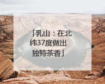 乳山：在北纬37度做出独特茶香