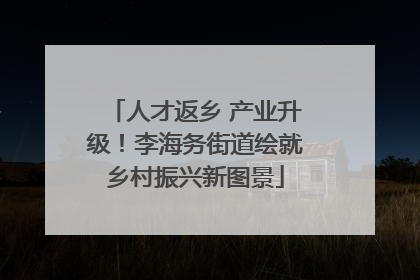人才返乡 产业升级！李海务街道绘就乡村振兴新图景