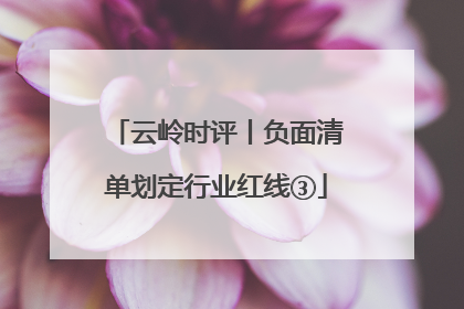 云岭时评丨负面清单划定行业红线③