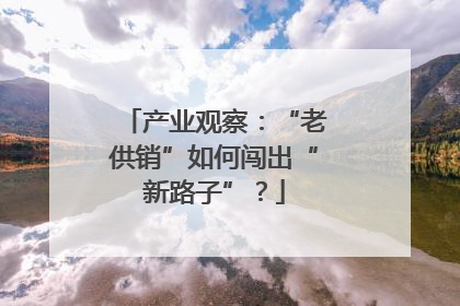 产业观察：“老供销”如何闯出“新路子”？