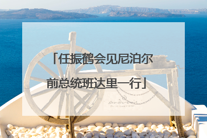 任振鹤会见尼泊尔前总统班达里一行