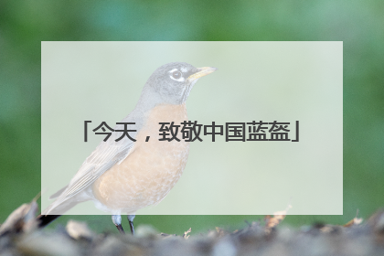 今天，致敬中国蓝盔