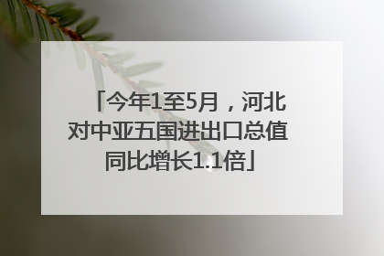 今年1至5月，河北对中亚五国进出口总值同比增长1.1倍
