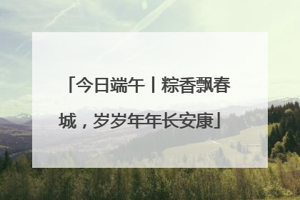 今日端午丨粽香飘春城，岁岁年年长安康