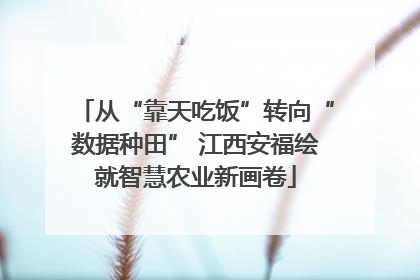 从“靠天吃饭”转向“数据种田” 江西安福绘就智慧农业新画卷
