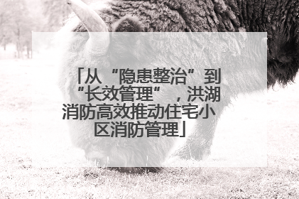 从“隐患整治”到“长效管理”，洪湖消防高效推动住宅小区消防管理